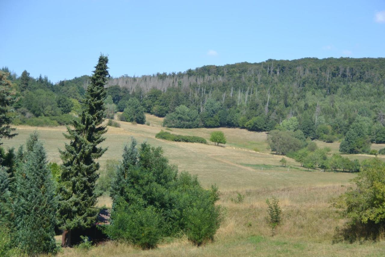 Frankenau Fewo Kellerwald Dış mekan fotoğraf